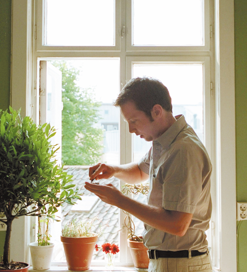 kitchen of light NEW SCANDINAVIAN COOKING with ANDREAS VIESTAD Photographs - photo 1