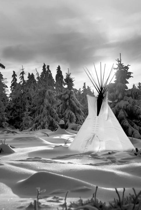 Two winters in a tipi my search for the soul of the forest - image 4