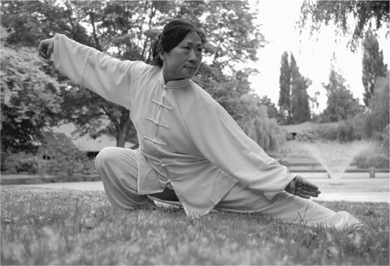 Dr LU MEI-HUI was born into a martial arts family in Taiwan She began her - photo 1