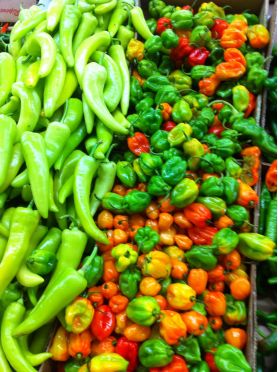 Peppers vary wildly in taste and heat content The popular BELL pepper is sweet - photo 5