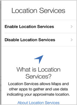 Location Services The location services allow the iPad to determine your - photo 3