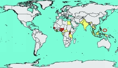 Figure 1 Distribution of ZIKV 1947-2007 The red circle showed outbreak in - photo 1