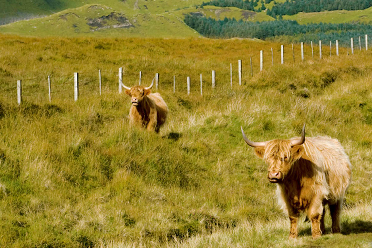 Isle of Skye Romantically associated with Bonnie Prince Charlie and Flora - photo 10