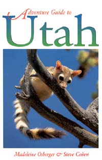 Adventure Guide to Utah Hunter Travel Guides - image 1