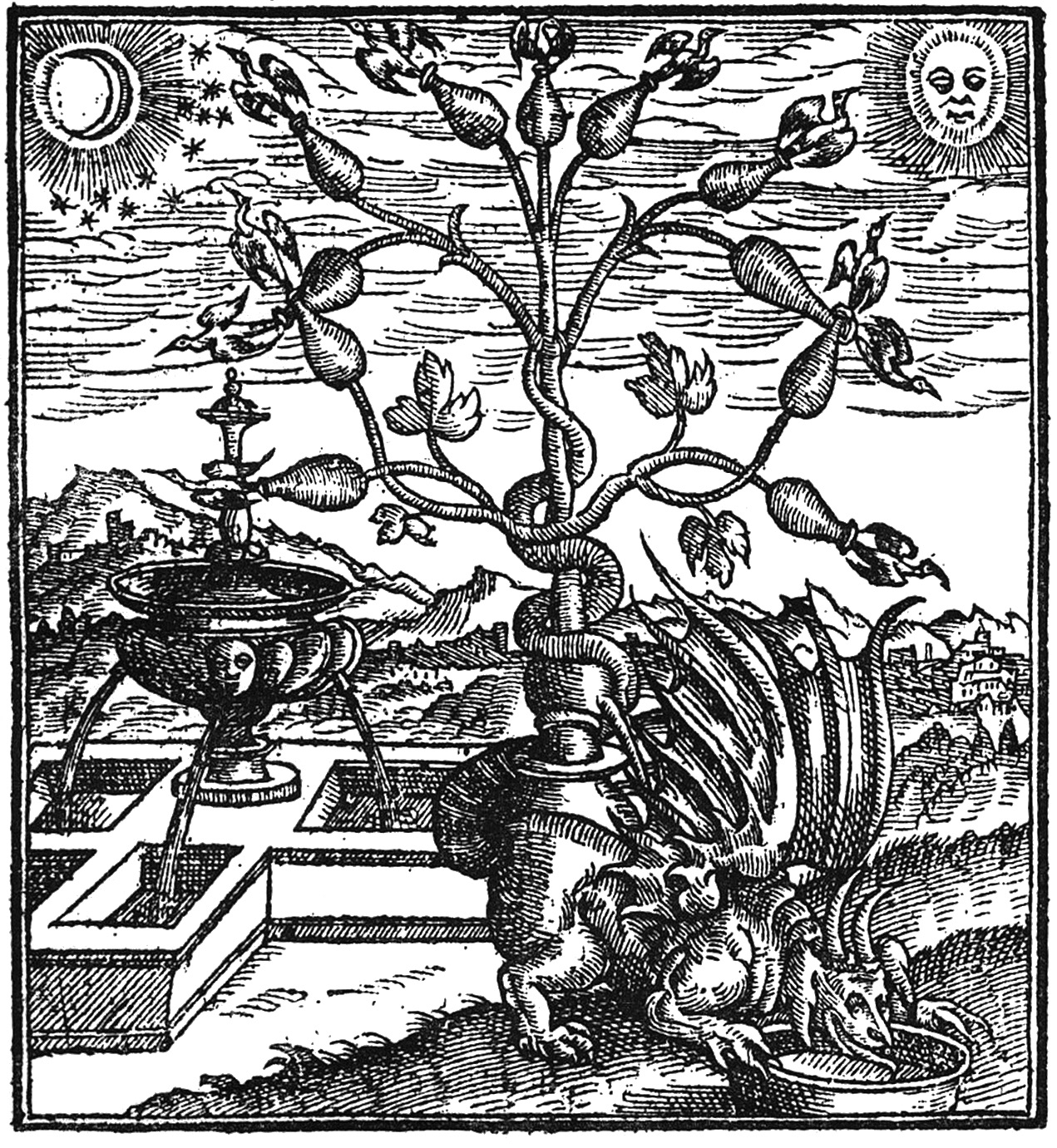 An engraving from the 1576 English edition of The New Jewell of Health - photo 2