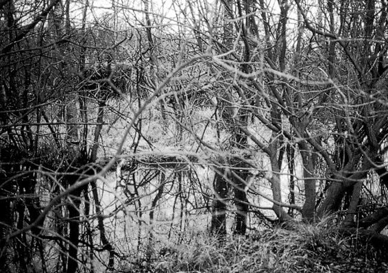 The peat bog at Haraldskaer in central Jutland where the body of a middle-aged - photo 3