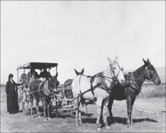 When mining first began in Terlingua only a few roads reached into the Big - photo 2