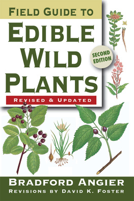 Bradford Angier - Field guide to edible wild plants