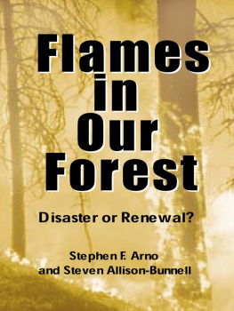 Allison-Bunnell Steven - Flames in Our Forest: Disaster Or Renewal?