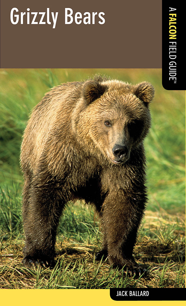 Grizzly Bears A Falcon Field Guide - image 1