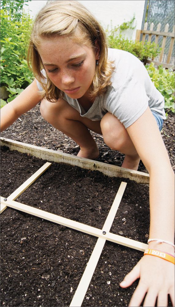 Building planting tending and harvesting your own kid-sized Square Foot - photo 4