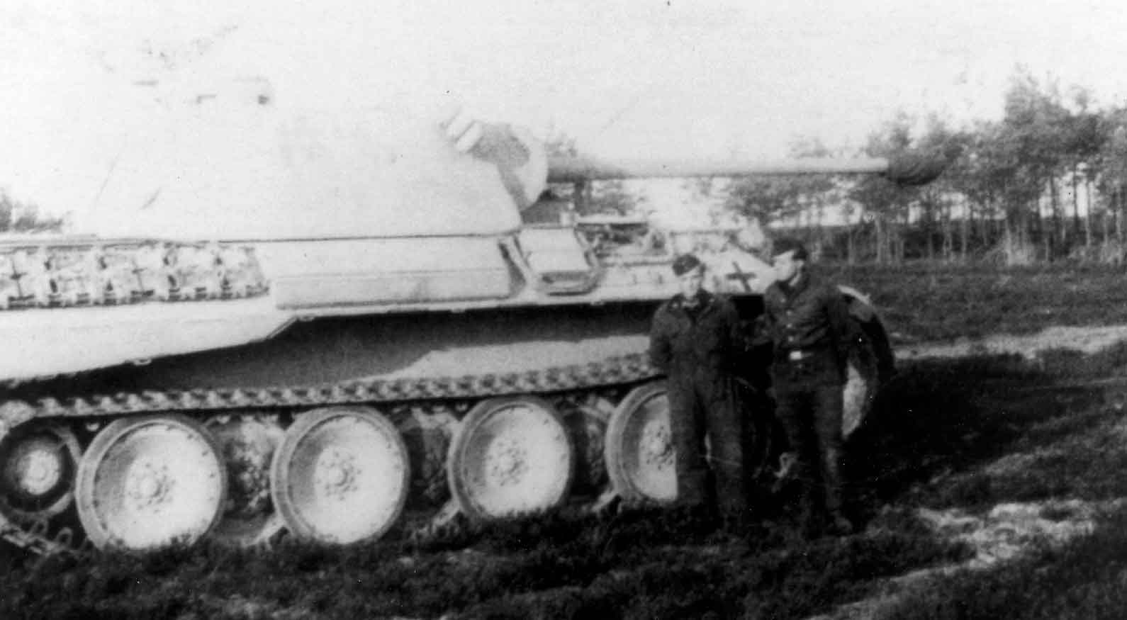 A Panther AusfD rests in a field The vehicle still retains its factory colour - photo 7