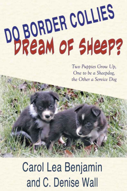 Benjamin Carol Lea - Do Border Collies Dream of Sheep?