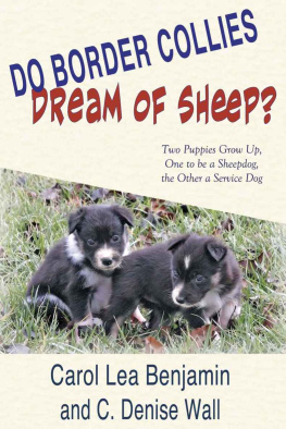 Benjamin Carol Lea Do Border Collies Dream of Sheep?