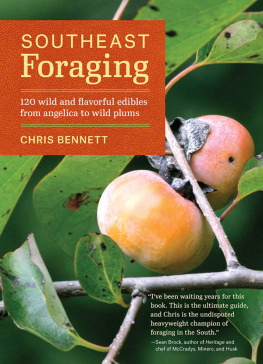 Bennett Southeast Foraging 120 Wild and Flavorful Edibles from Angelica to Wild Plums