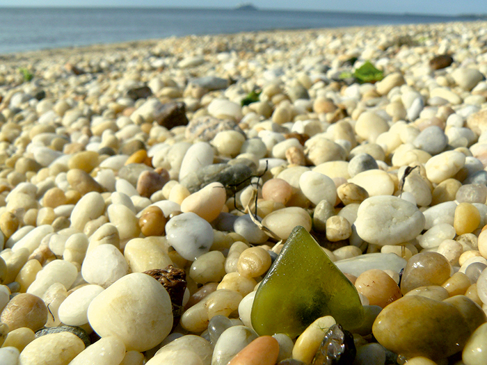 Rare citron-colored sea glass resembles seaweed on the beach This piece was - photo 16