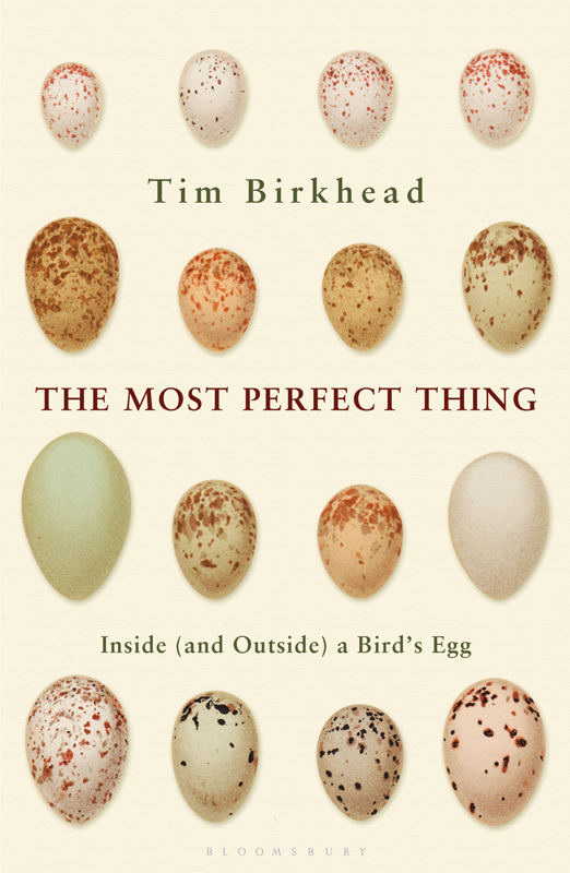 THE MOST PERFECT THING THE MOST PERFECT THING Inside and Outside a Birds Egg - photo 1