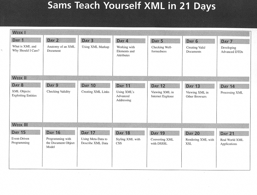 Page i SAMS Teach Yourself XML in 21 Days Simon North Paul Hermans - photo 2