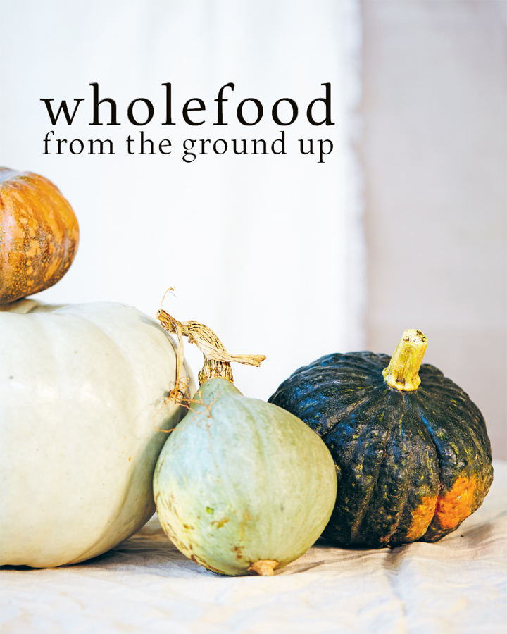 Wholefood from the Ground Up Nourishing Wisdoms Know How and Recipes - photo 3