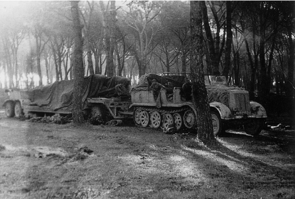 A half-track towing vehicle with two Negers under tarpaulin in a pine wood near - photo 20