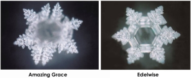 Photos of water crystals exposed to words An interesting fact to - photo 2