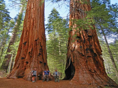 Where to Go Yosemite Valley The majority of park visitors spend their - photo 12