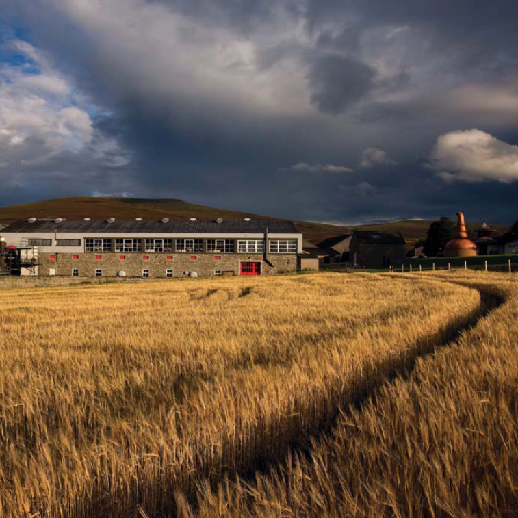 Barley ripening at Glenfarclas in the gently rolling hills of Banffshire in the - photo 3