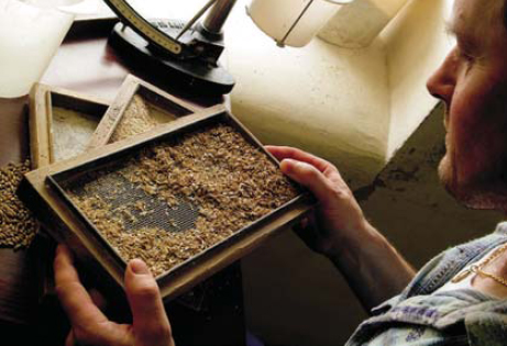 Checking the grist at Glenfarclas This is malted barley ground into a coarse - photo 6