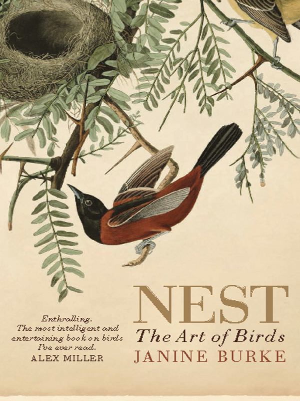 NEST The Art of Birds NEST The Art of Birds JANINE BURKE Published by - photo 1