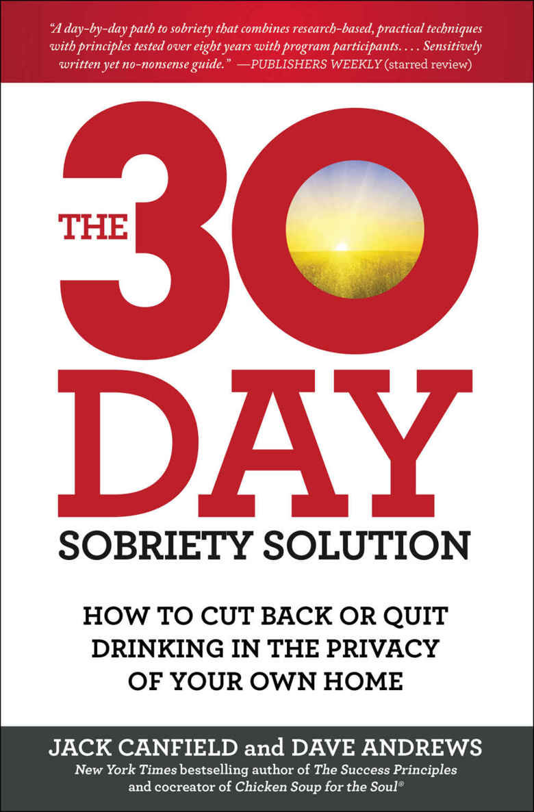 Praise for THE 3O-DAY SOBRIETY SOLUTION The Experts If you are concerned - photo 1