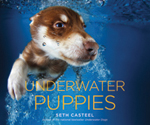 Underwater Puppies Underwater Dogs - photo 3