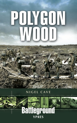 Cave - Polygon Wood