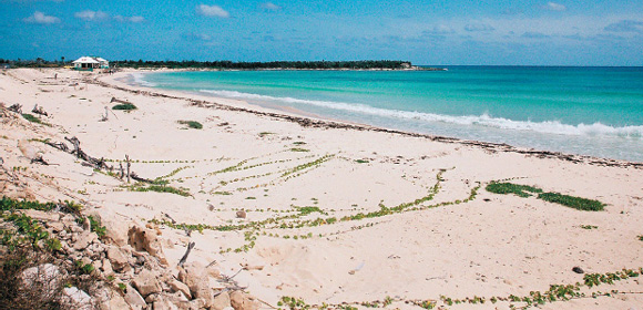 Moon Cancn Cozumel Including Playa del Carmen Tulum the Riviera Maya - photo 14