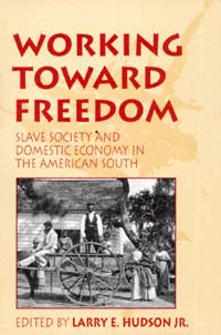 title Working Toward Freedom Slave Society and Domestic Economy in the - photo 1