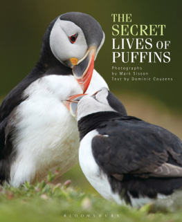 Couzens Dominic - The Secret Lives of Puffins