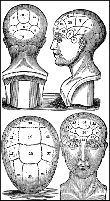 The phrenological bust Mini Myth Lessons in Idiocy By 1925 the University of - photo 4