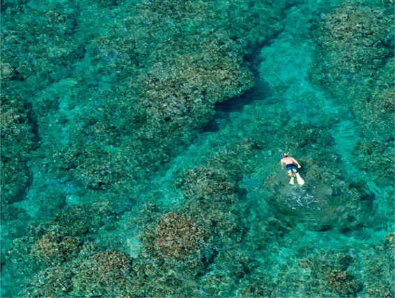 Honolua Bay right side taken from the cliffs above Published by Wizard - photo 3