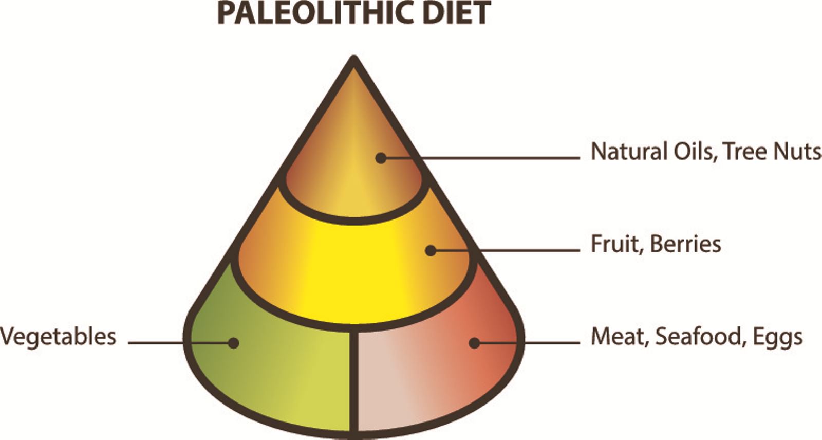 As you begin cooking paleo meals it is important to know which foods your - photo 3