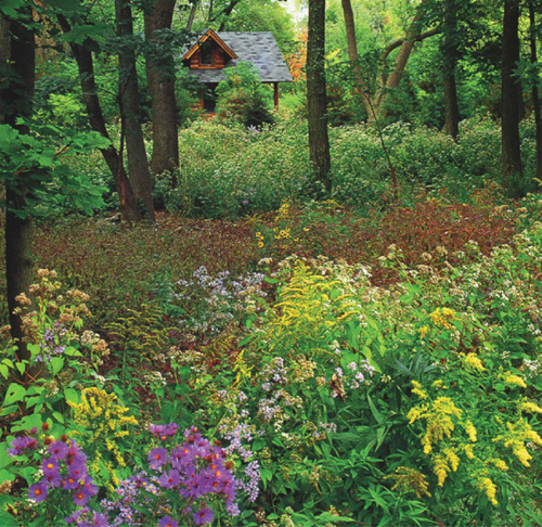 A meadow is a transitional plant community This one is on the edge of a - photo 10