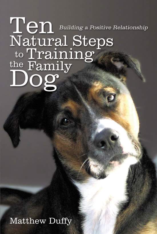 Ten Natural Steps to Training the Family Dog Building a Positive Relationship - photo 1