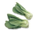 Bok choy is a highly nutritious variety of cabbage with long crisp stalks and - photo 4