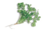 Coriander is an indispensable herb and spice in Asian cooking Coriander seeds - photo 9