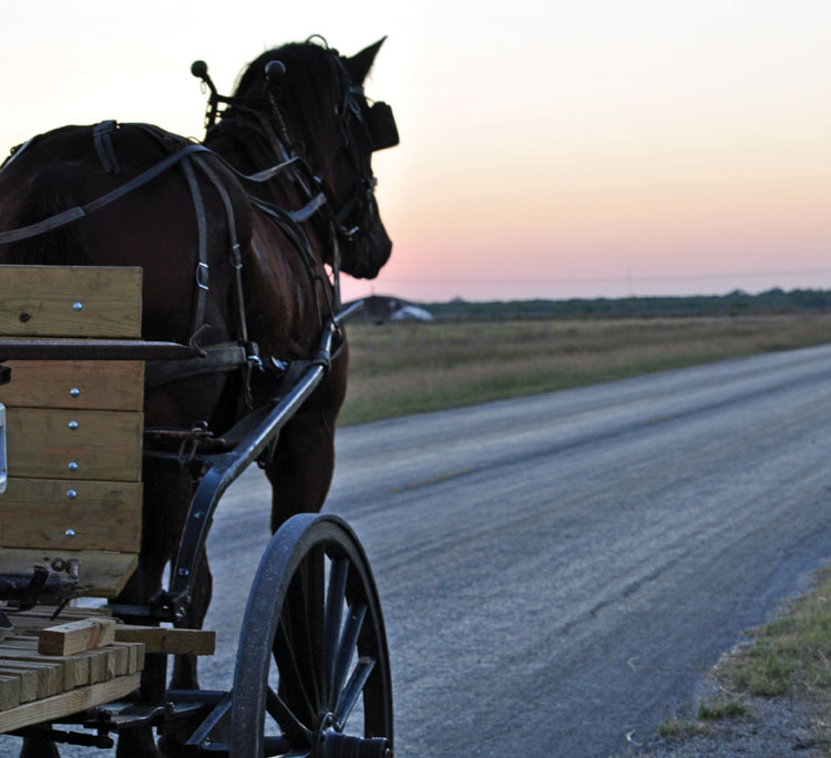 AMISH COOKS ACROSS THE E A S T Lured by William Penns promise of religious - photo 4