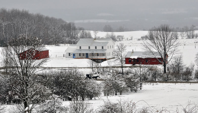 The Conewango Valley is home to New York States oldest and largest Amish - photo 6