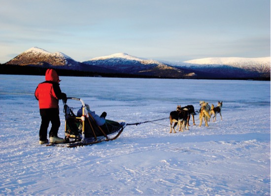 Before the sun sets we return to the trailers feed the dogs and crack out - photo 6