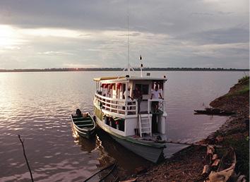 The Amazon The MN Tucunare on the Amazon River The Amazon Fer-de-lance - photo 13