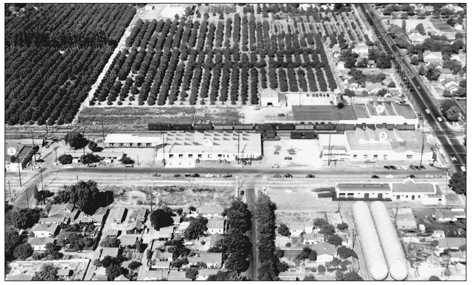 Most of Anaheims orange packinghouses were built adjacent to one of the areas - photo 6