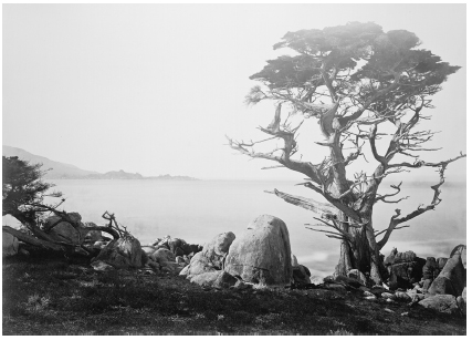 Contents AT CYPRESS POINT ON CARMEL BAY A PUNCH SHOT AWAY from the fairways - photo 4