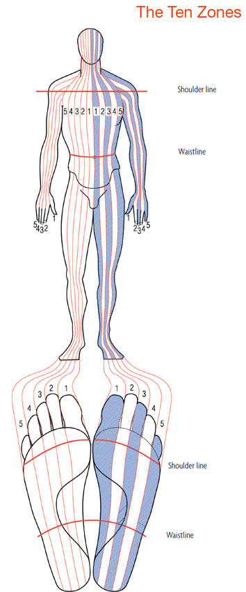 Why Reflexology The British neurologist Sir Henry Head 18611940 described - photo 5