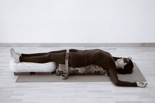 Chapter 1 What is Restorative Yoga Never perform asanas mechanically - photo 3